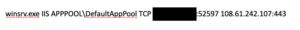 netstat state for suspicious winsrv.exe process